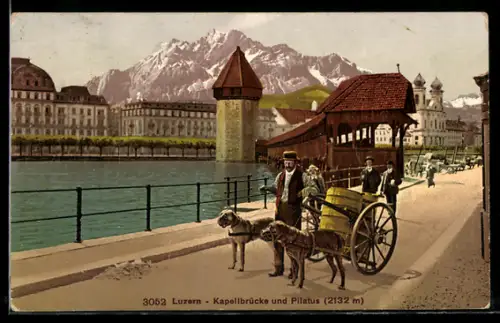 AK Luzern, Kapellbrücke u. Pilatus, Hundegespann