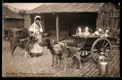 AK Laitiere Belge, Rentree a la Ferme, Milchfrau mit Hundegespann