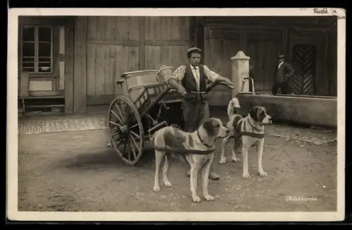 AK Hundegespann zieht einen Milchkarren