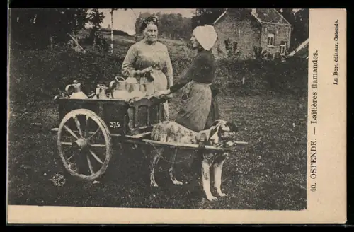 AK Ostende, Laitières Flamandes, Milchfrauen mit Hundegespann