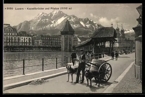 AK Luzern, Kapellbrücke und Pilatus, Mann mit Hundegespann