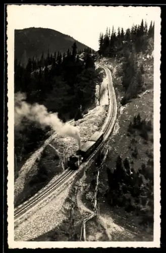 AK Schneebergbahn, Zahnradbahn auf den Hochschneeberg unter Volldampf