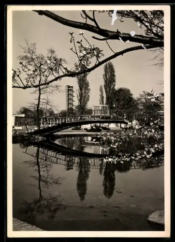 AK Hamburg, Gartenbau-Ausstellung 1953, Partie am Rundteich mit Blick über die Ausstellungshallen zum Philips-Turm