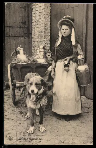 AK Vlaamsche Melkvrouw, Flämische Milchbäuerin mit Hundegespann