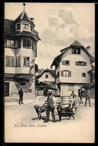 AK Luzern, Ortsansicht mit Hundegespann