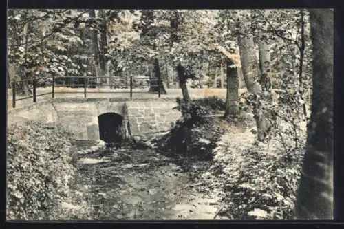 AK Lübeck, Mögdebach bei Israelsdorf, Steinbrücke im Wald