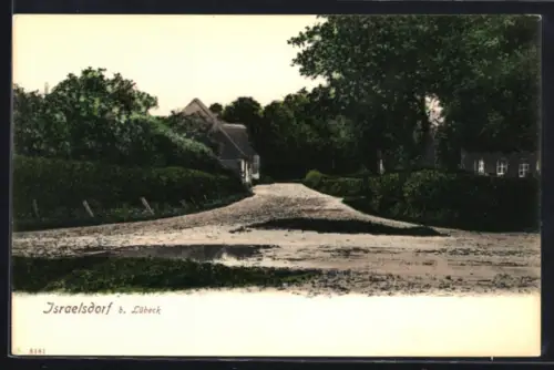 AK Israelsdorf b. Lübeck, Dorfstrasse mit Häusern und Bäumen