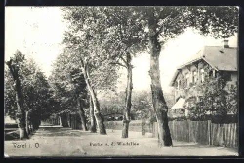 AK Varel i. O., Partie an der Windallee