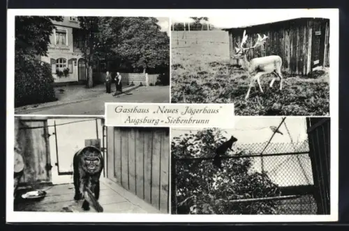 AK Augsburg-Siebenbrunn, Gasthaus Neues Jägerhaus, Tiergarten, Café