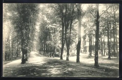 AK Israelsdorf bei Lübeck, Lindenallee