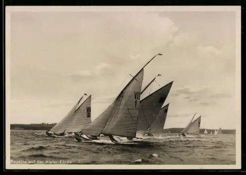 AK Segelboote bei Regatta der Kieler Förde, Segelsport