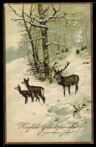 AK Hirsche im Schnee, Neujahrsgruss