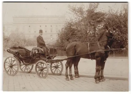 Fotografie G. Reimer, Wien, Zieglergasse 5, Ansicht Wien, Mann in Kutsche Fiaker Nr. 367 mit Pferden