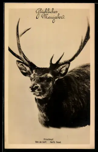 AK Hirschkopf, Neujahrsgruss