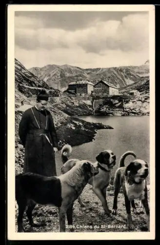 AK Grand St-Bernard, Lonfat et Gentinetta, Chiens du St-Bernard