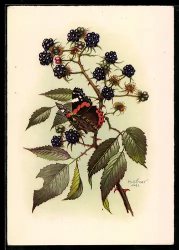 AK Schmetterling auf einem Brombeerzweig
