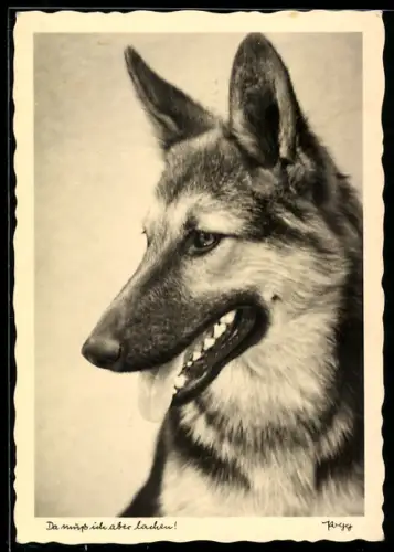 AK Da muss ich aber lachen!, Schäferhund, Portrait