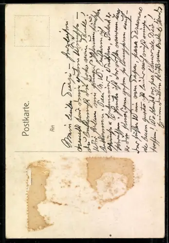 Foto-AK Angeleinter Boxer auf einer Rasenfläche, Portrait