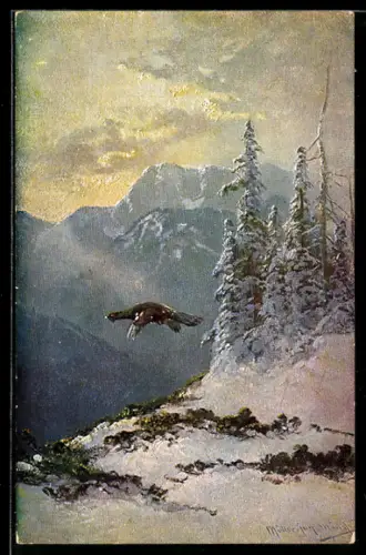 Künstler-AK M. Müller jun.: Auerhahn in einer Berglandschaft