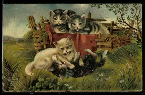 AK Katzen balgen sich vor einem Korb