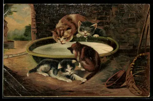 Lithographie Kätzchen trinken aus Schale