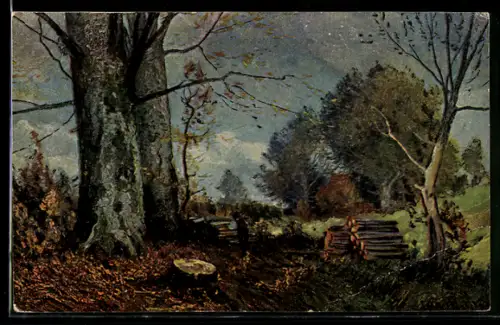 Künstler-AK Degi Nr. 356, M. Meinzold, Herbst, Mann stapelt Holz
