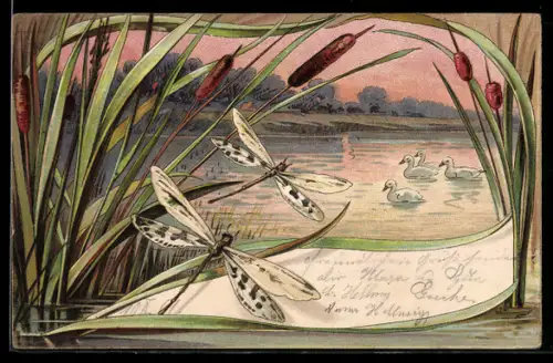 AK Teich im Sonnenuntergang vom Schilf aus gesehen, Libellen, Enten, Jugendstil