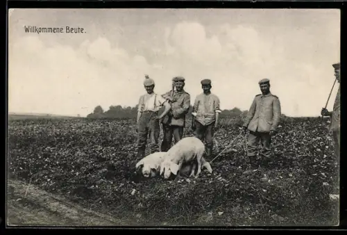 AK Willkommene Beute, Soldatengruppe mit Schweinen auf einem Feld