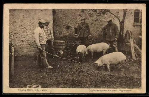 AK Vogesen, Soldaten mit Schweinen vor einem Gebäude