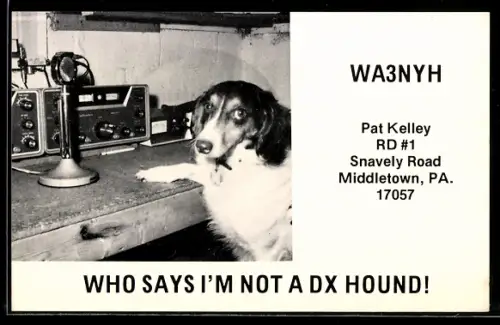 AK Who says I`m not a DX Hound, Radistation mit Collie, WA3NYH Pat Kelley