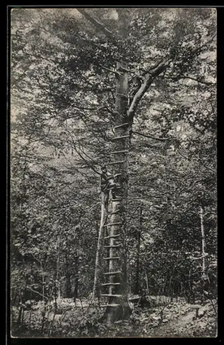 AK Infanteriesoldaten bei der Baumpostenablösung
