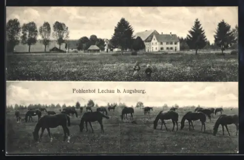 AK Meitingen-Lechau, Fohlenhof, Koppel mit Pferden