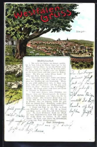 Lithographie Siegen /Westfalen, Teilansicht mit Schafherde