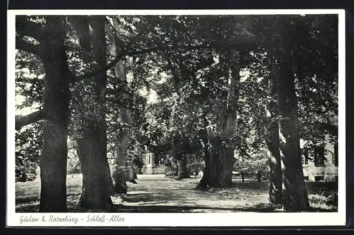 AK Gudow b. Ratzeburg, Schloss-Allee