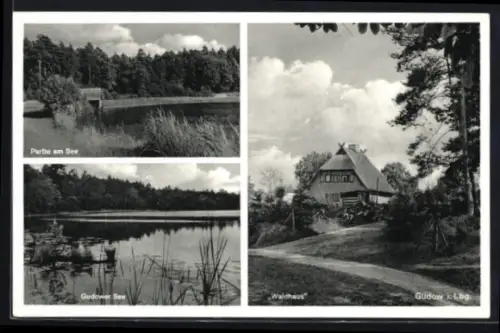 AK Gudow i. Lbg., Gasthof Waldhaus, Gudower See, Uferpartie