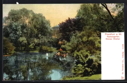 AK Frankfurt-Westend, Kleiner Weiher im Palmengarten
