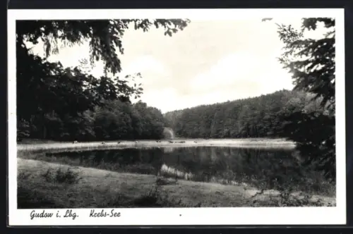 AK Gudow i. Lbg., Krebs-See
