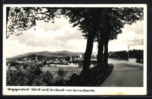 AK Deggendorf, Totalansicht mit Kirche