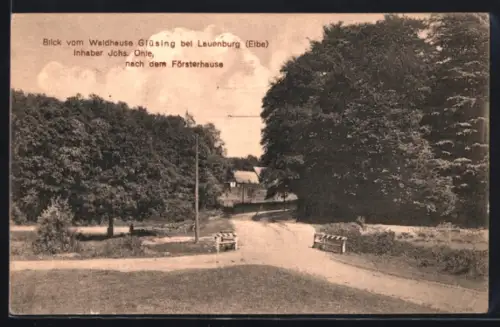 AK Lauenburg /Elbe, Blick vom Waldgasthaus Glüsing nach dem Försterhaus