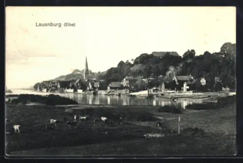 AK Lauenburg /Elbe, Ortspartie mit Kirche