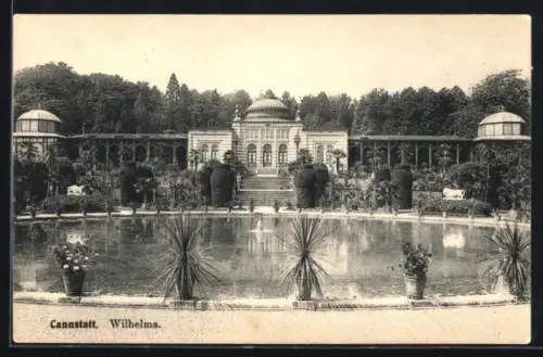 AK Cannstatt, Wilhelma mit Palmen