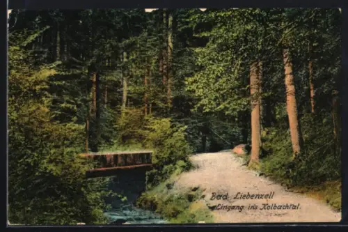AK Bad Liebenzell, Eingang ins Kolbachtal