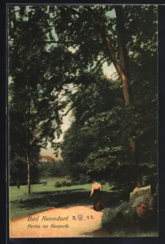 AK Bad Nenndorf, Partie im Kurpark