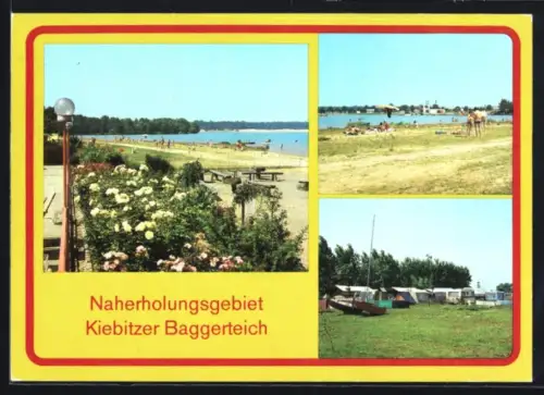 AK Falkenberg /Elster, Naherholungsgebiet Kiebitzer Baggerteich, Strand, Campingplatz