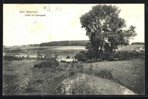 AK Bad Nenndorf, Partie im Erlengrund