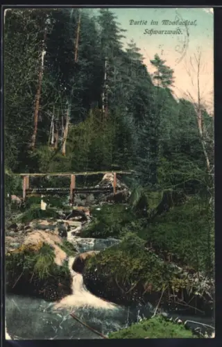 AK Monbachtal /Schwarzwald, Partie im Monbachtal, Wald, Bach, Brücke