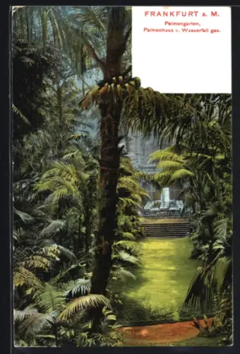 AK Frankfurt-Westend, Palmengarten, Palmenhaus vom Wasserfall gesehen