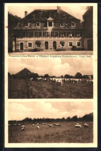 AK Augsburg-Siebenbrunn, Pressmarsches-Weide ud Obstgut