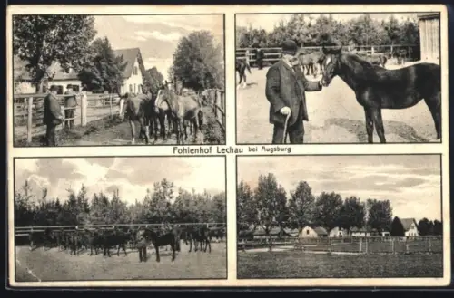 AK Lechau bei Augsburg, Verschiedene Partien am Fohlenhof