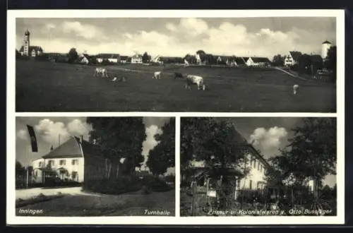 AK Inningen, Turnhalle mit flagge, weidende Kühe und Kolonialwarengeschäft von Otto Bussjäger
